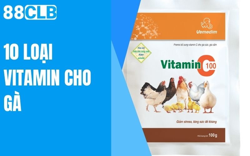 10 loại vitamin cho gà