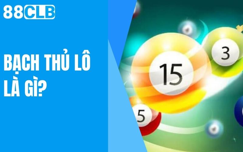 bạch thủ lô là gì?