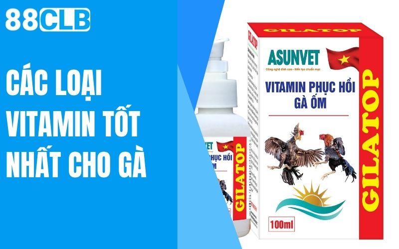 các loại vitamin tốt nhất cho gà