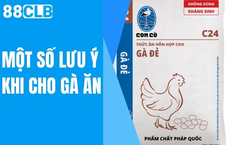 một số lưu ý khi cho gà ăn