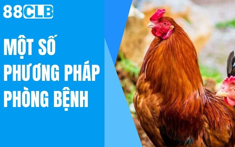 một số phương pháp phòng bệnh